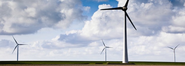 Windmolens tulpenveld